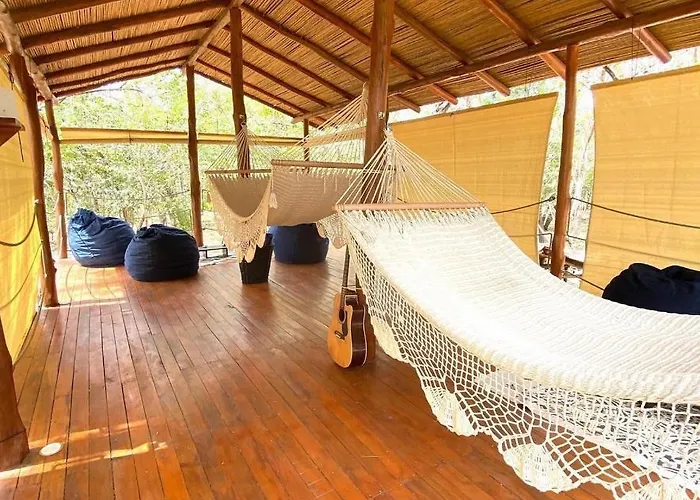 Calipso Ocean Lodge- Avellana *
