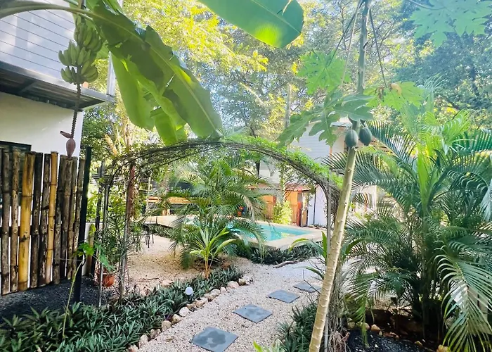 Calipso Ocean Lodge- Avellana Hotel Playa Avellana