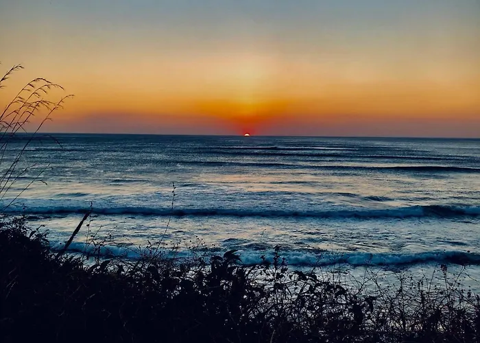 Calipso Ocean Lodge- Avellana